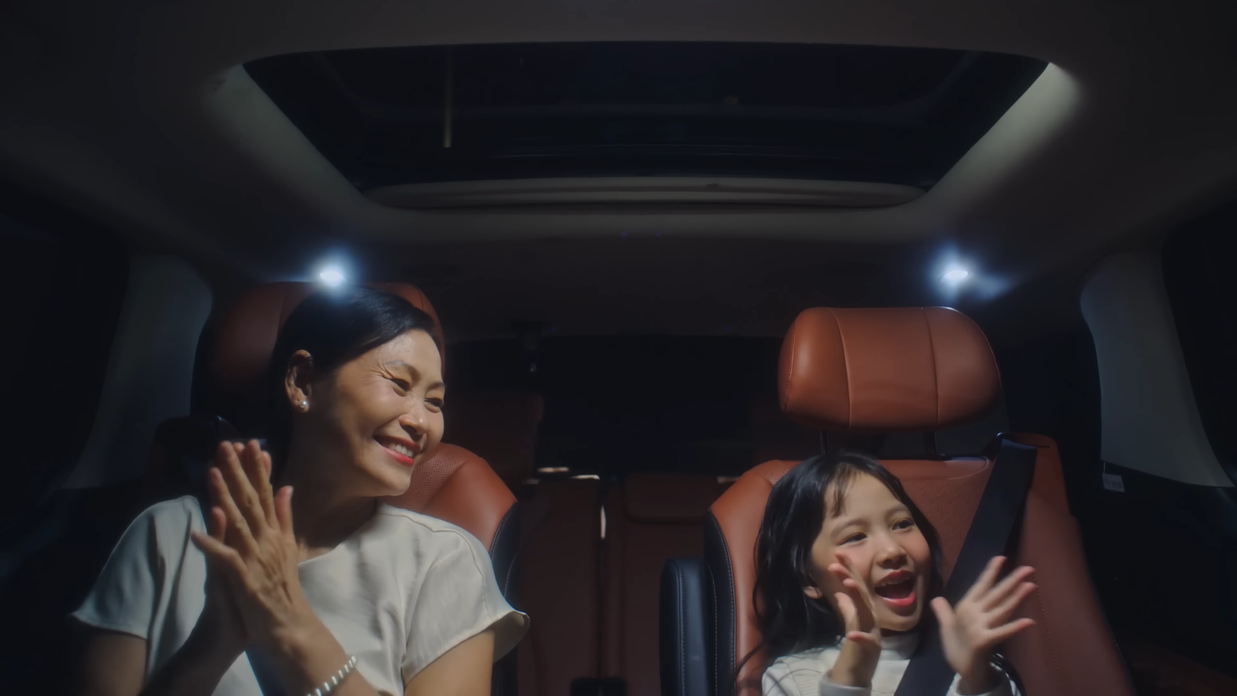 KIA Carnival Hybrid Tet film