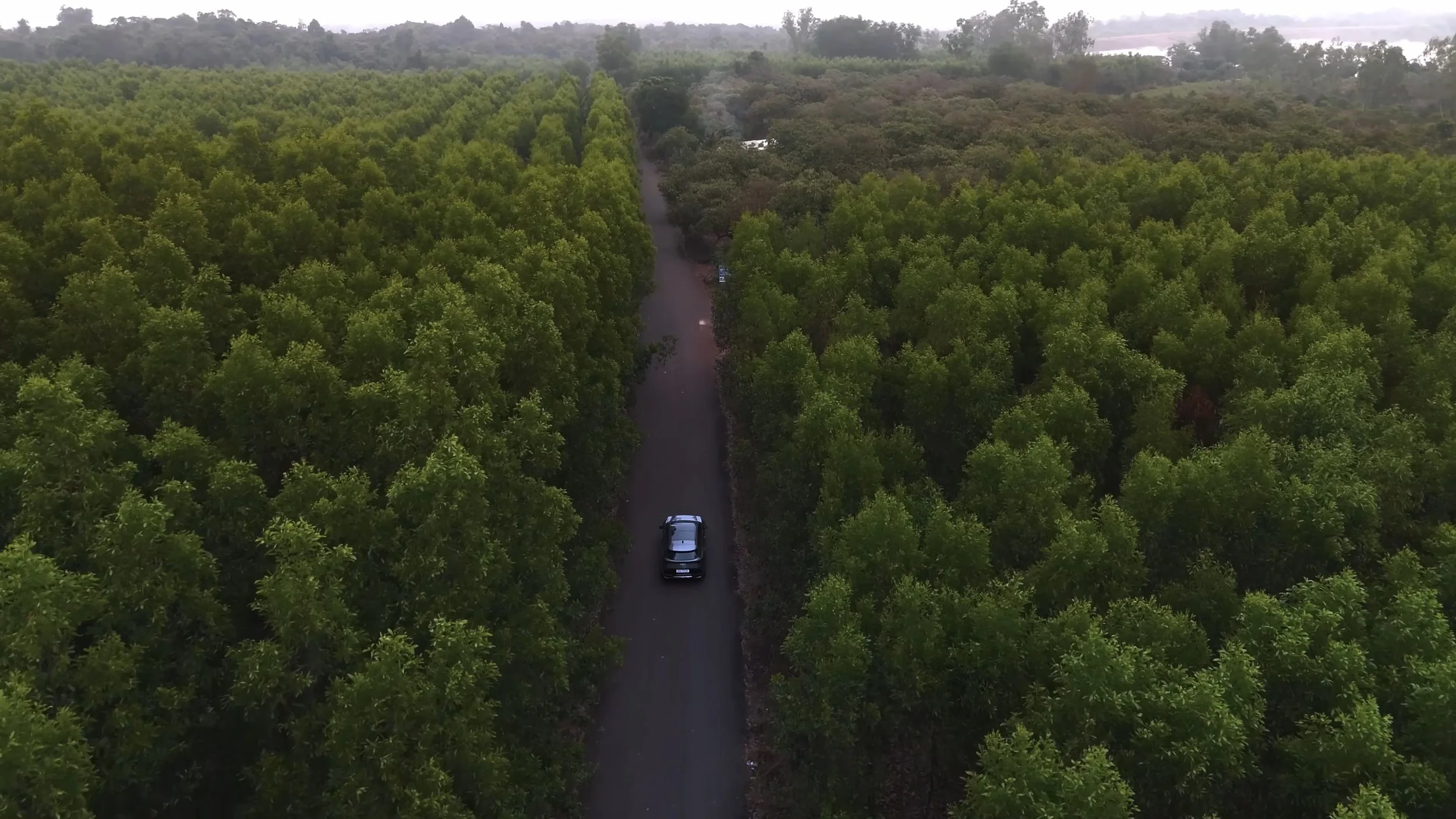 KIA Sportage Tet campaign